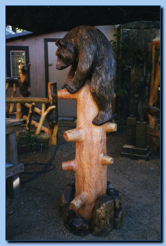 2-23 bear reaching up for cub-archive-0020